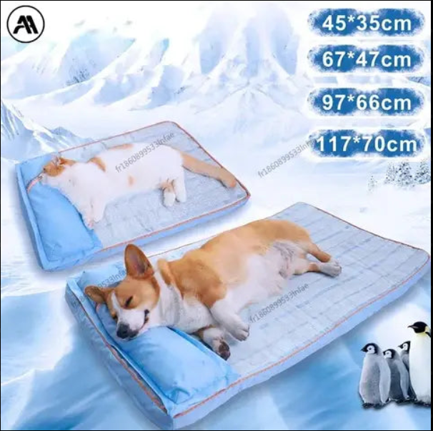 Meilleur tapis orthopédique pour chien senior : comment bien choisir ?