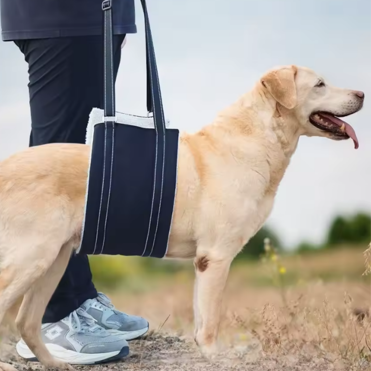 Harnais de Soutien SilverPaws™ : Aide à la Mobilité pour Chien Senior