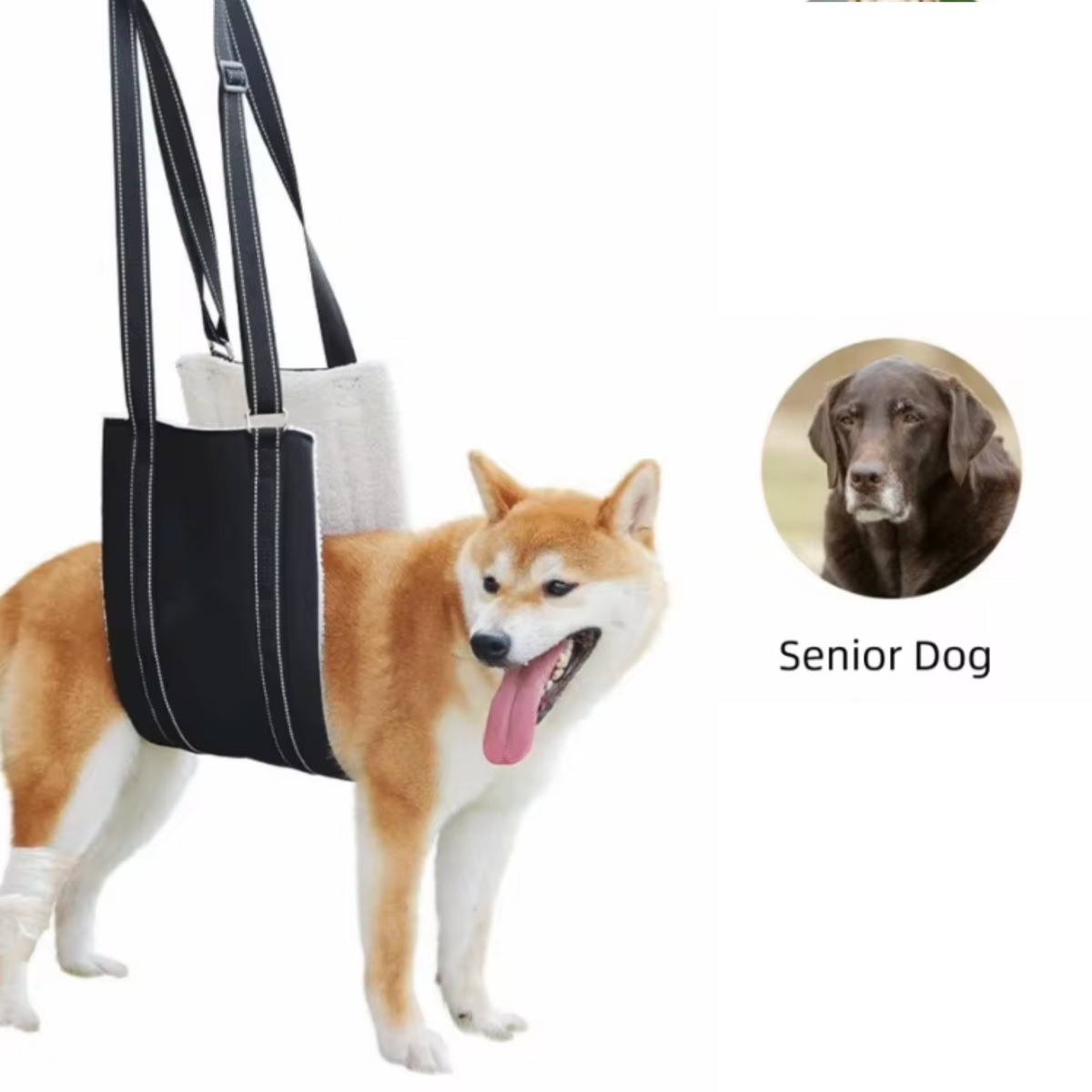 Harnais de Soutien SilverPaws™ : Aide à la Mobilité pour Chien Senior