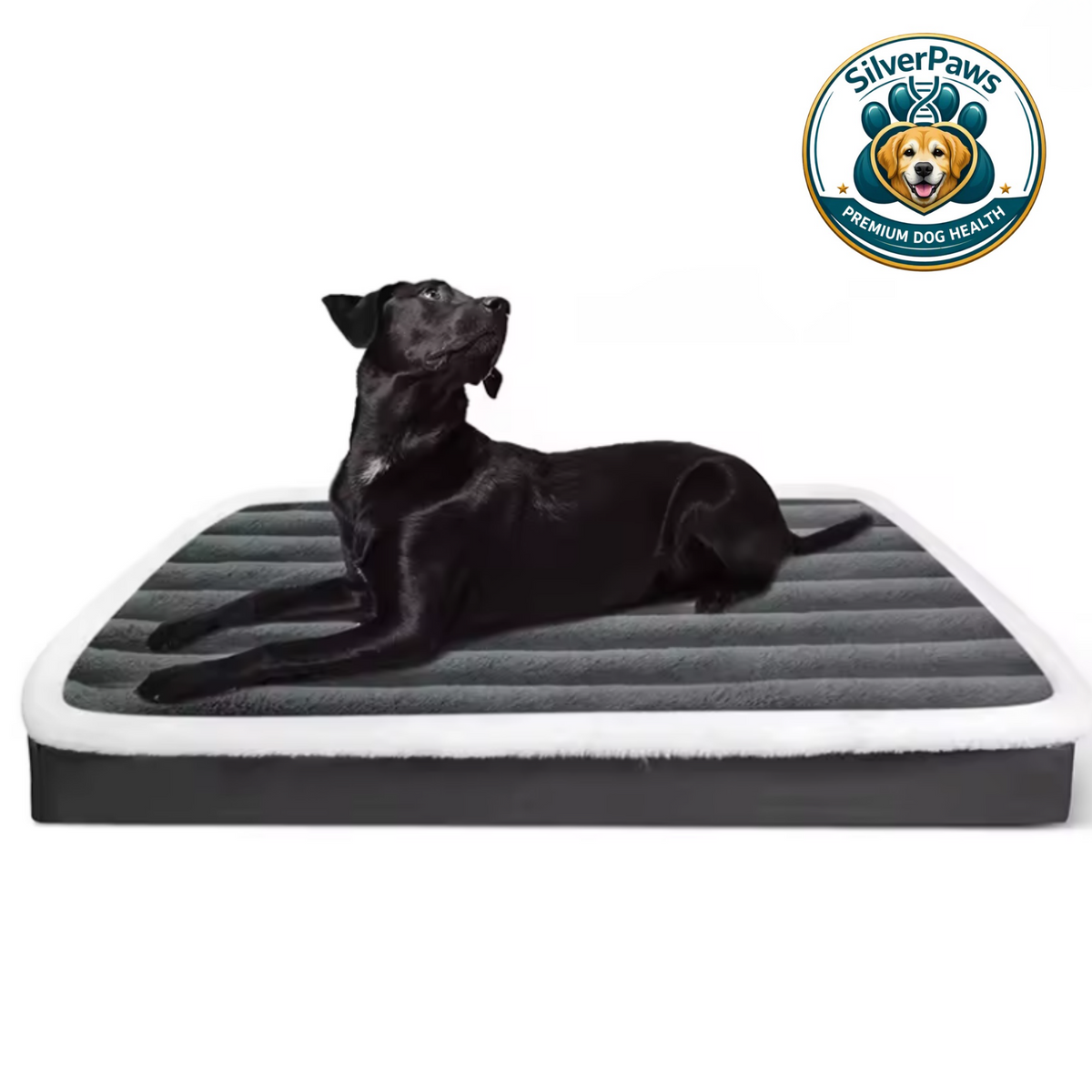 Lit Orthopédique SilverPaws™ : Confort et Soutien pour Chien Senior