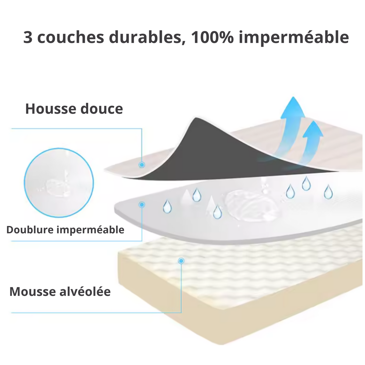 Lit Orthopédique SilverPaws™ : Confort et Soutien pour Chien Senior
