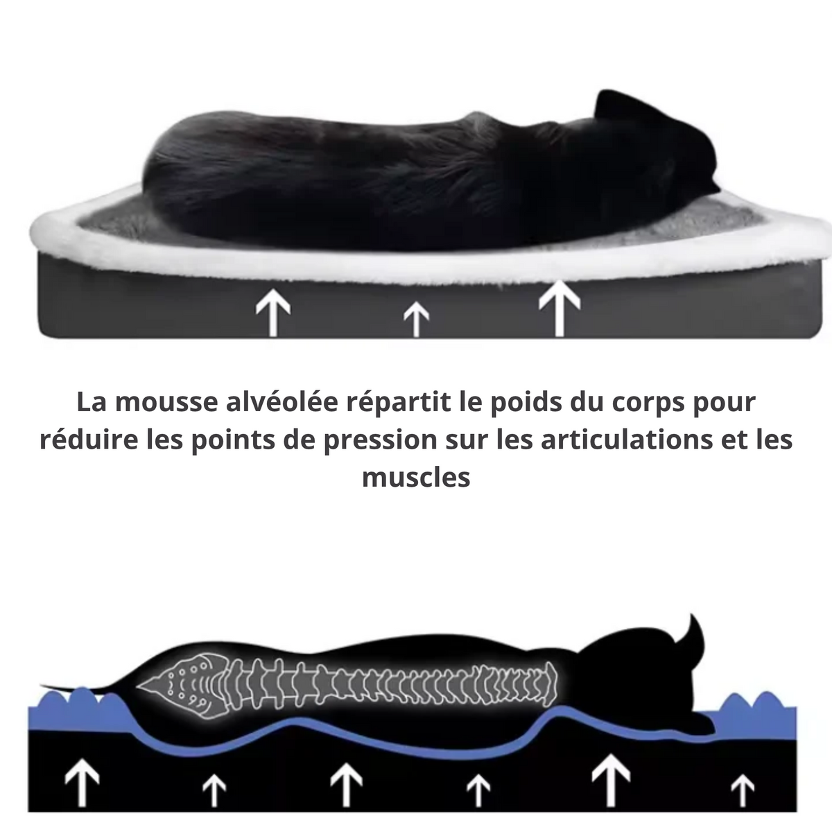 Lit Orthopédique SilverPaws™ : Confort et Soutien pour Chien Senior