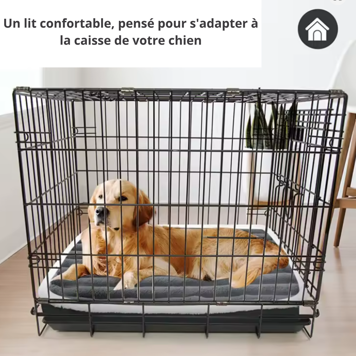 Lit Orthopédique SilverPaws™ : Confort et Soutien pour Chien Senior
