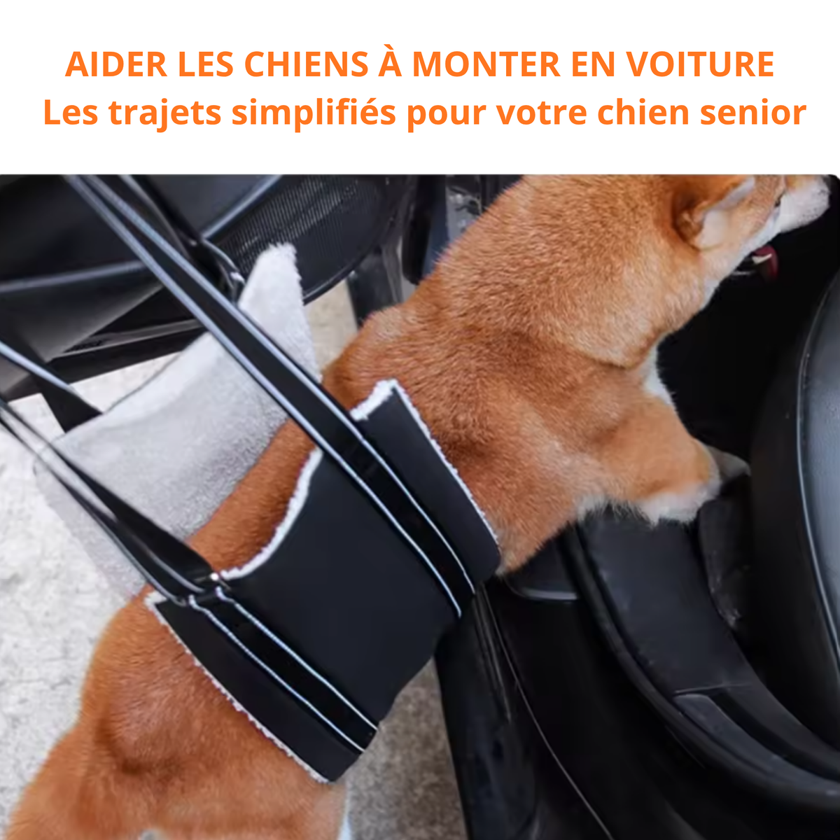 Harnais de Soutien SilverPaws™ : Aide à la Mobilité pour Chien Senior