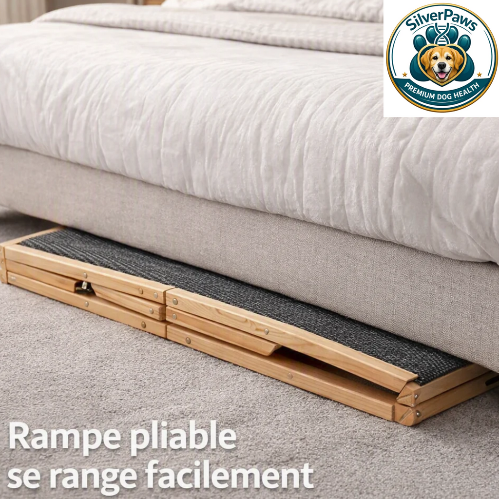 Rampe d'Accès SilverPaws™ : Pliable et Réglable en Hauteur