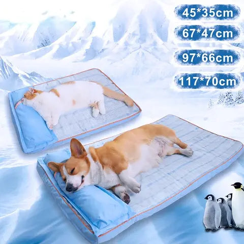 Tapis Frost SilverPaws™