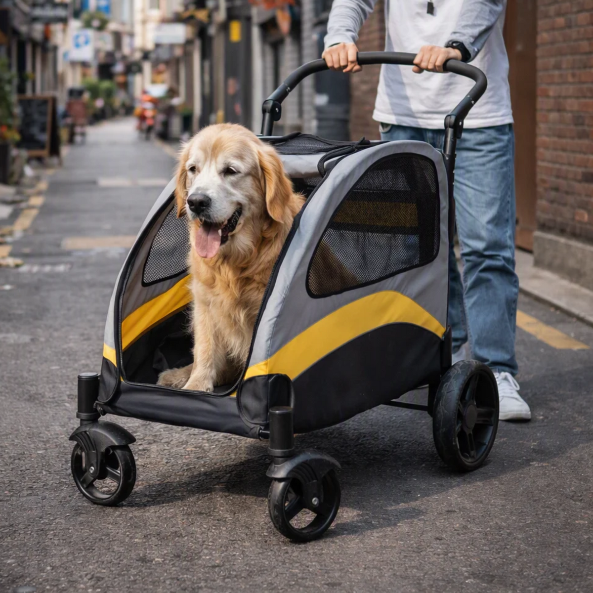 Poussette Pliable SilverPaws™ pour chiens seniors – confort et mobilité