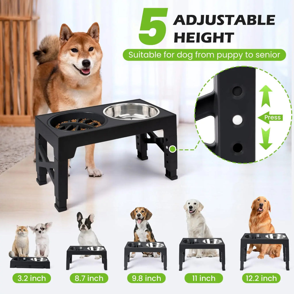 Gamelles Surélevées Ajustables SilverPaws™ : Confort Cervical & Digestion